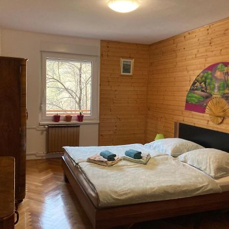 Apartment And Garden House Among The Mountains Podbrdo 외부 사진