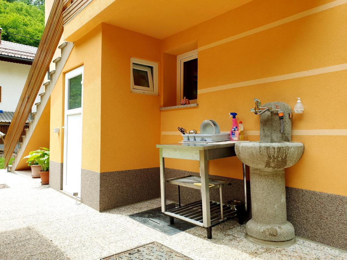 Apartment And Garden House Among The Mountains Podbrdo 외부 사진