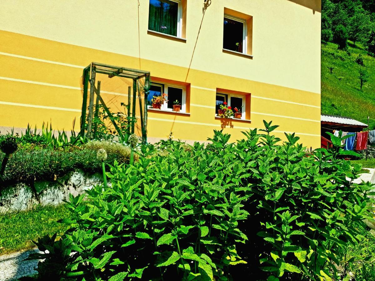 Apartment And Garden House Among The Mountains Podbrdo 외부 사진
